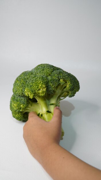 a head of fresh broccoli on a white background