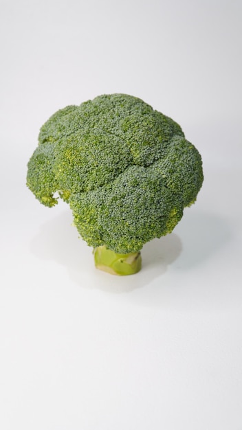 a head of fresh broccoli on a white background