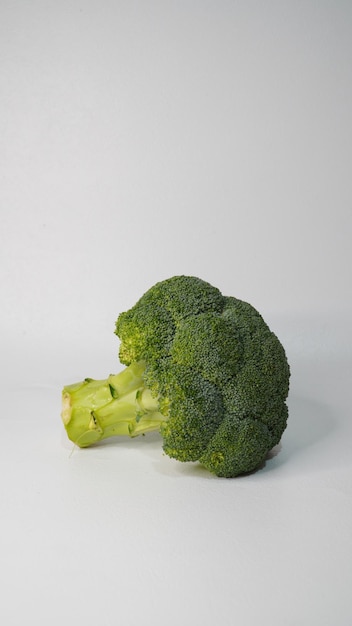 a head of fresh broccoli on a white background
