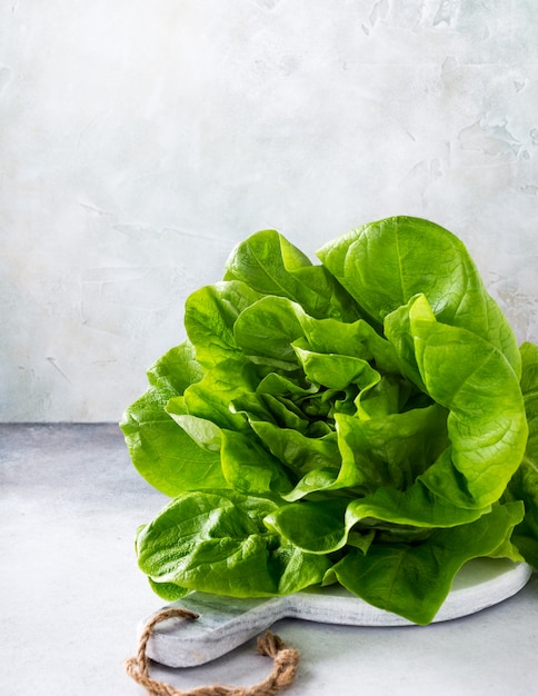 Head of fresh organic lettuce salad