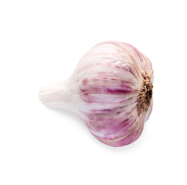 Head of garlic closeup isolated.