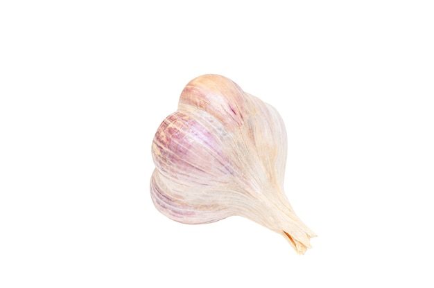 Head of garlic isolated on white background