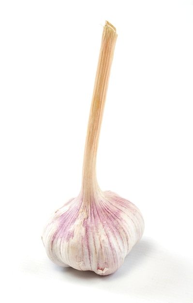 Head of the garlic on white background