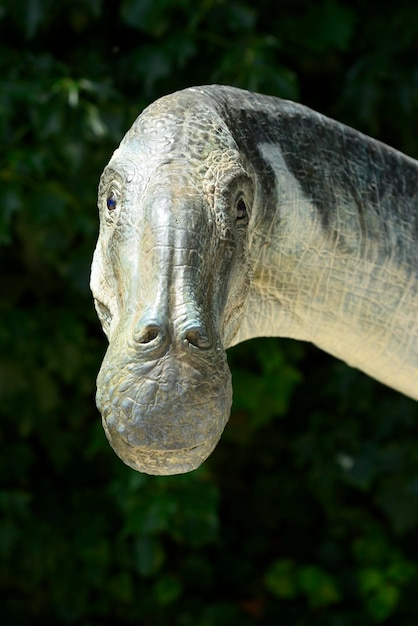 Head and neck reconstruction of dinosaur