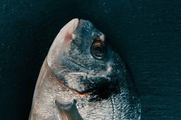 Head of raw fish lying isolated on the black slate surface