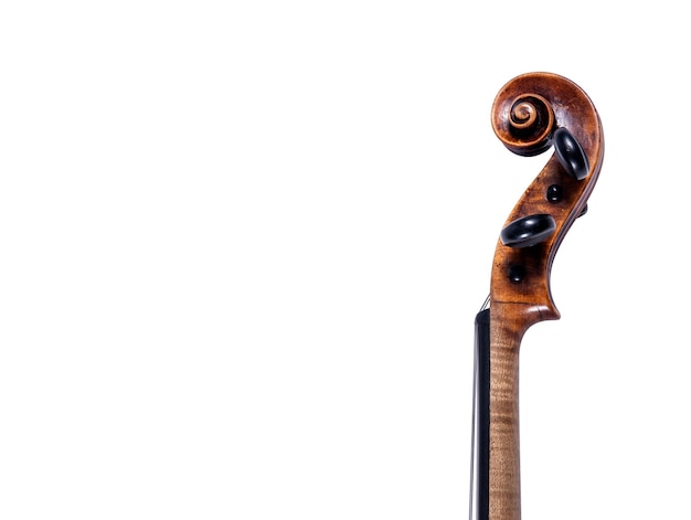 Head of a violin on white backgraound