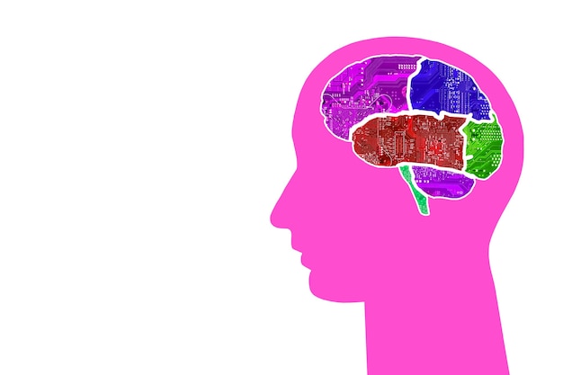 Head with multi-colored brains of chips on a colorful background