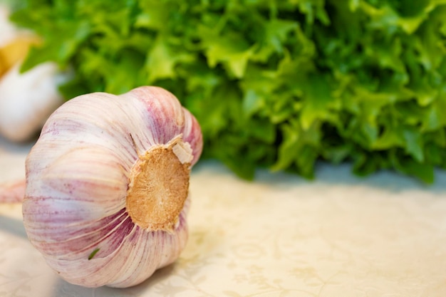 Photo a head of young garlic in closeup against a background of green salad