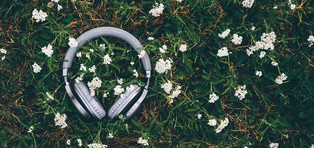 The headphone on the grass with white flowers