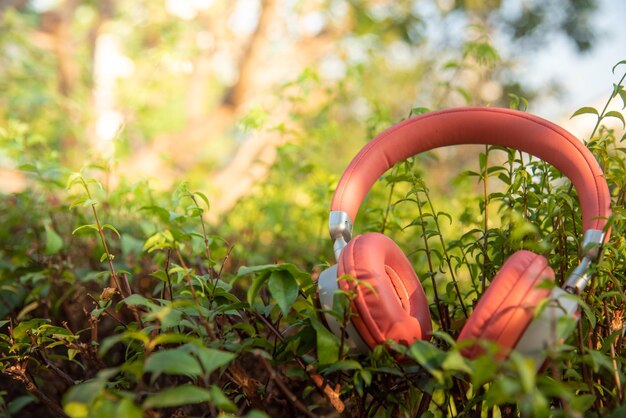 Photo headphones on leaves against wood