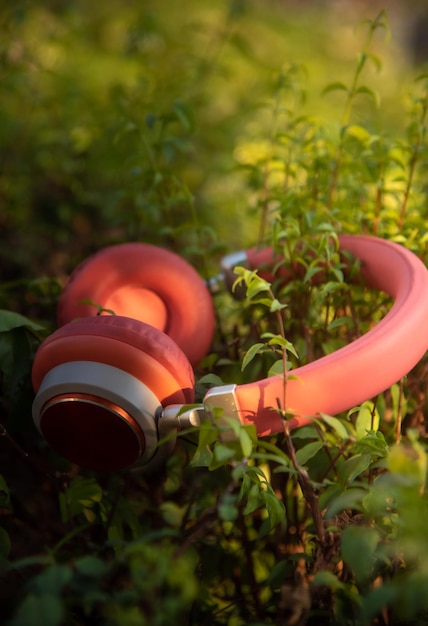 Photo headphones on leaves against wood