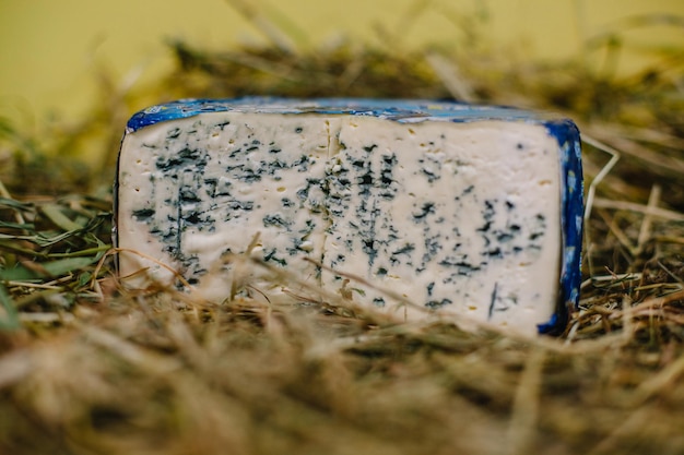 Heads of cheese of different grades and colors closeup