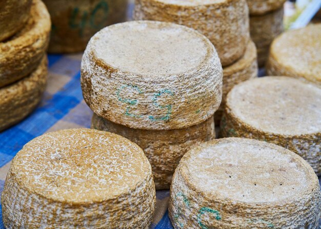 Foto teste di formaggio. vista dall'alto