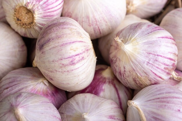 Heads of garlic, close-up