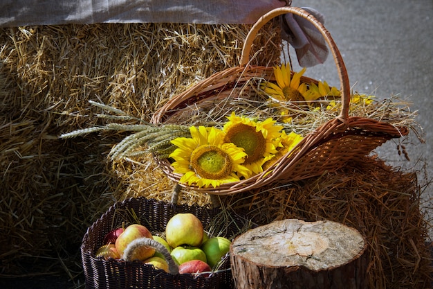 Heads of grain, apples and sunflowers. Harvest on the haystack