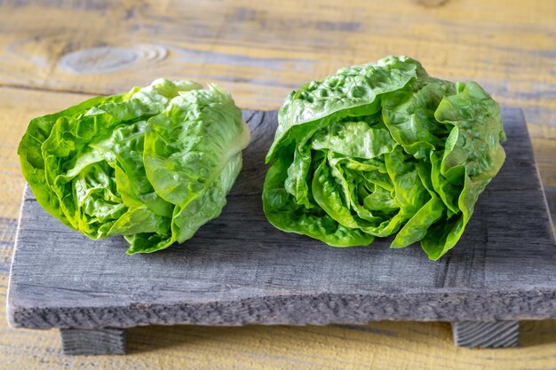 Heads of Romaine lettuce