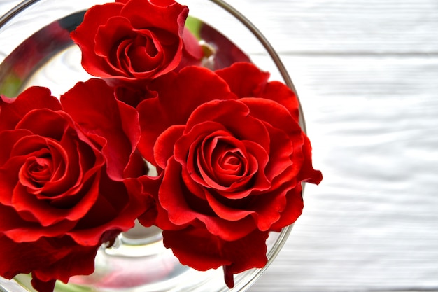 Heads of roses in a bowl with water on a white wooden. Valentine's Day concept