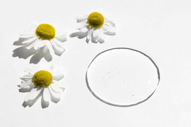 Healing chamomile with a drop of a transparent cosmetic liquid product for body care