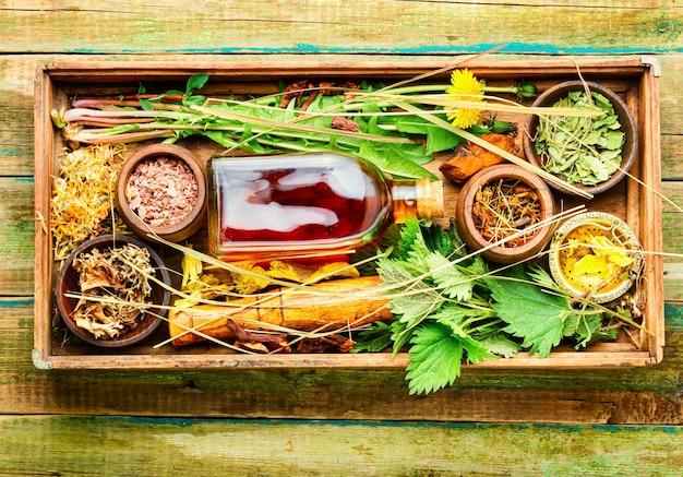 Healing herbs,roots and extracts in herbal medicine