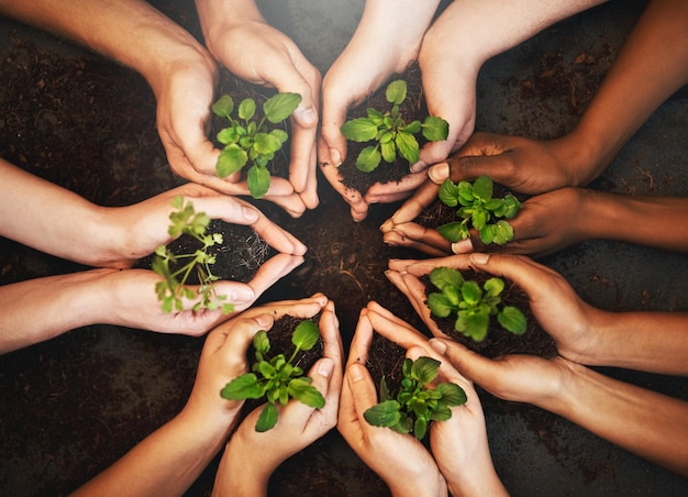 the healing starts now cropped shot of a group of people holding plants growing out of soil