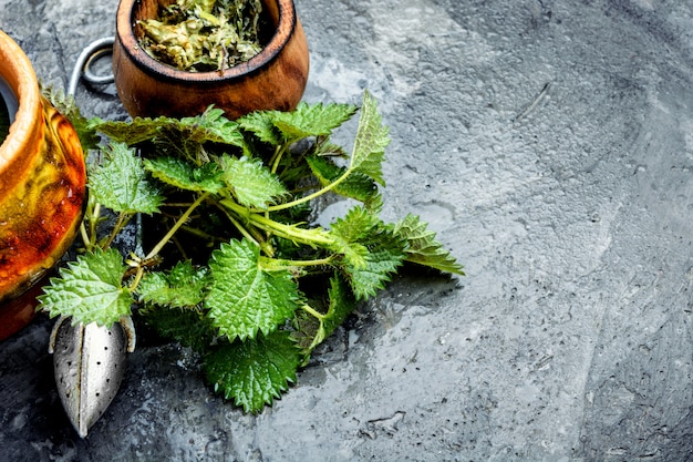 Healing tea with nettle