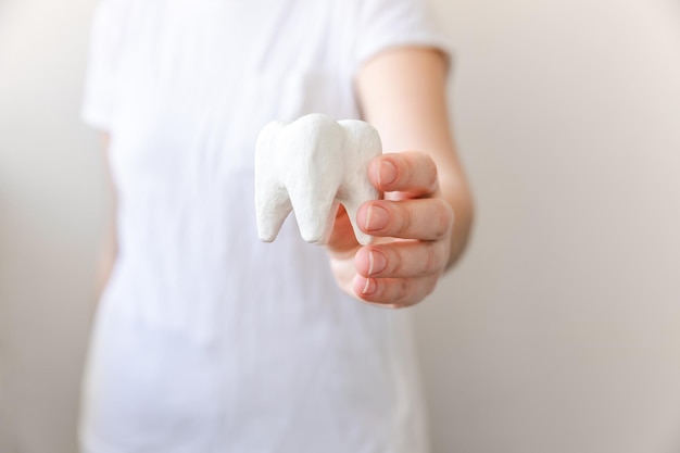 白い背景に分離された白い健康な歯のモデルを持っている健康歯科治療の概念の女性の手...