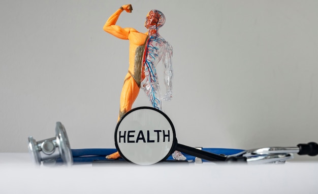 사진 건강한 인체 모델이 있는 사진의 건강 텍스트