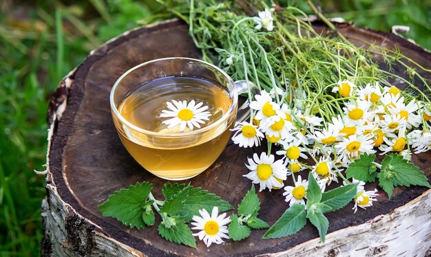 Healthy chamomile tea on a wooden background. Nature. Selective focus