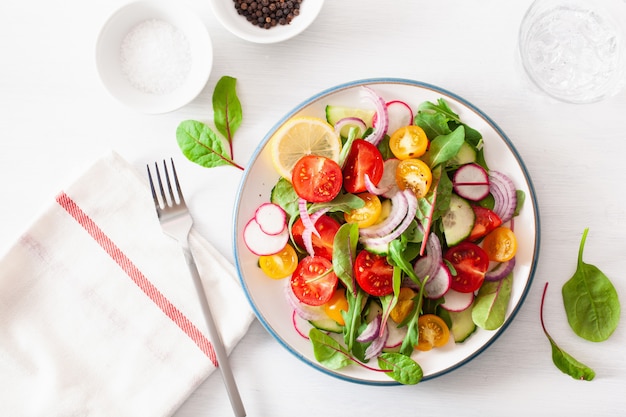 Healthy colorful vegan tomato salad with cucumber, radish, onion