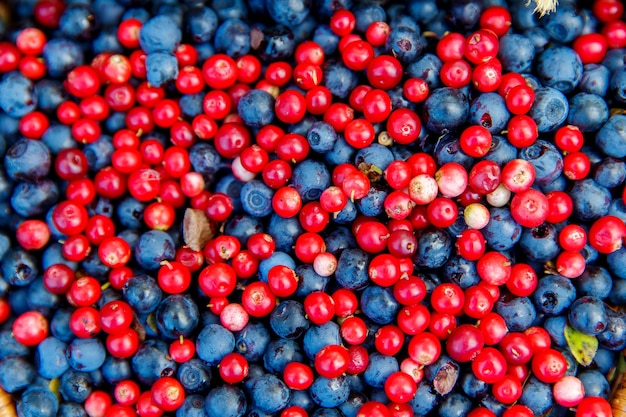 Healthy and delicious organic blueberries and cowberrys  background.