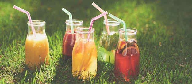 緑の夏の草の上の健康的なデトックスカラフルな飲み物。ボトルに入った天然の新鮮なオーガニックジュースとお茶