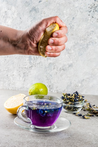 Bevande salutari, tè di fiori biologici blu farfalla pisello con lime e limoni