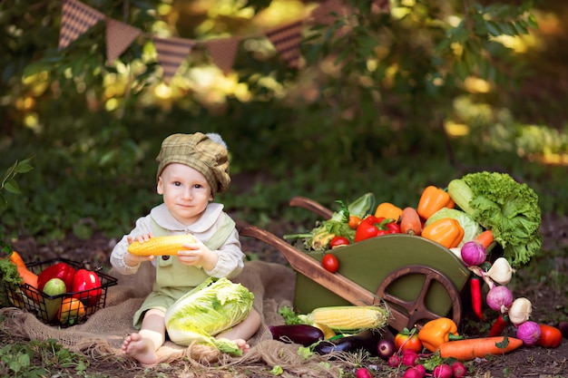 Healthy eating concept. Boy in nature collects a crop of vegetables in a trolley and prepares salad