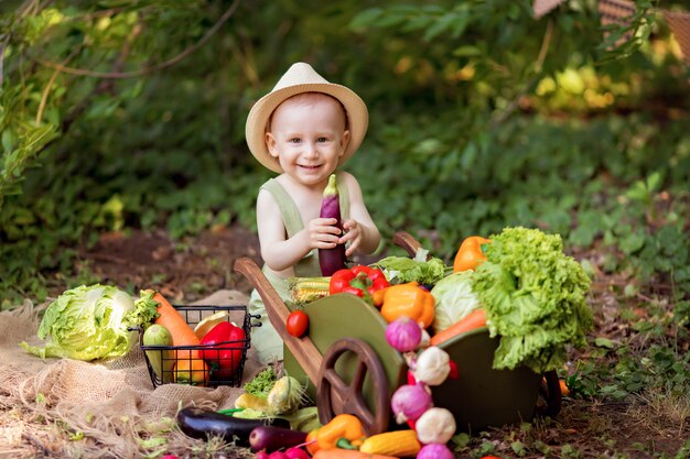 Healthy eating concept. Boy in nature collects a crop of vegetables in a trolley and prepares salad