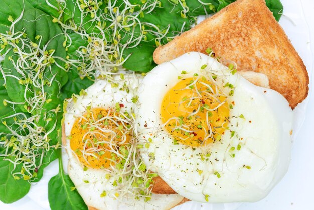 Healthy eating concept fried eggs on toast with spinach and young sprouts on a white plate in closeup