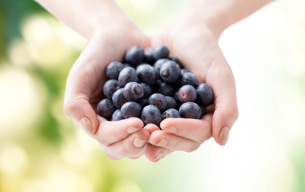 Healthy eating, dieting, vegetarian food and people concept - close up of woman hands holding blueberries over green natural background