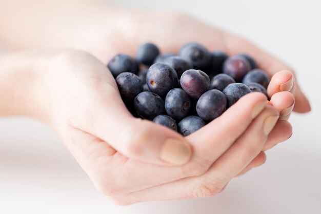 Mangiare sano, dieta, cibo vegetariano e concetto di persone - primo piano delle mani della donna che tengono i mirtilli a casa