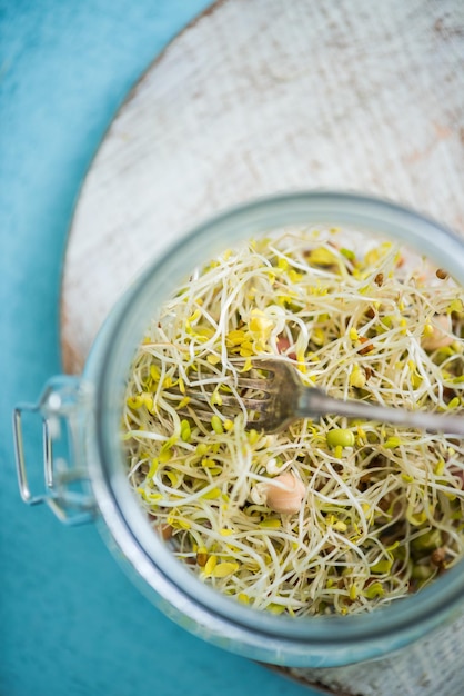 Healthy eating fresh sprouts