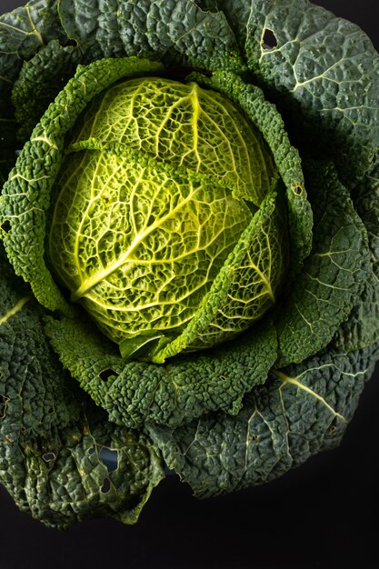 Foto cavolo verde organico organico del primo piano sano di concetto dell'alimento fresco dal giardino