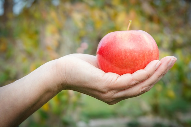 Healthy food concept. Red ripe apple on woman's palm with blurred natural background.