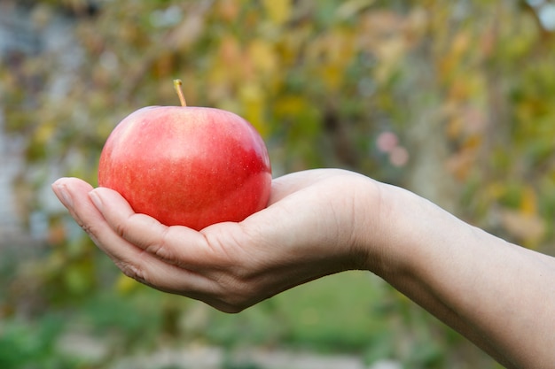 Concetto di cibo sano. mano della donna che tiene appl rosso su sfondo verde naturale.