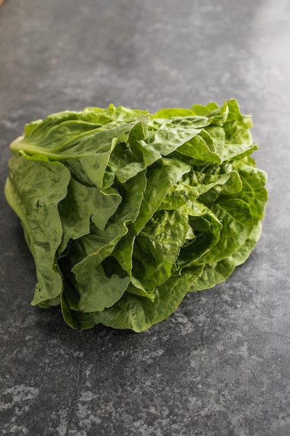 Healthy food green leaf lettuce salad top view