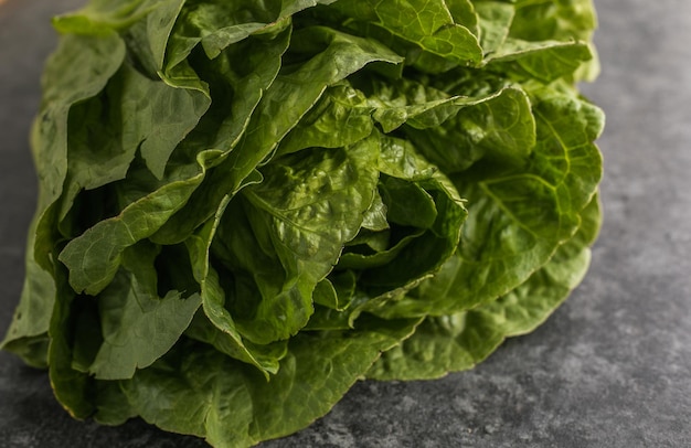 Healthy food green leaf lettuce salad top view