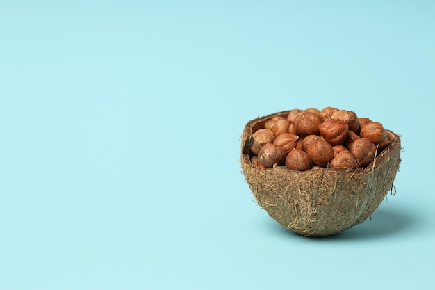 Healthy food and healthy nutrition concept nuts hazelnut