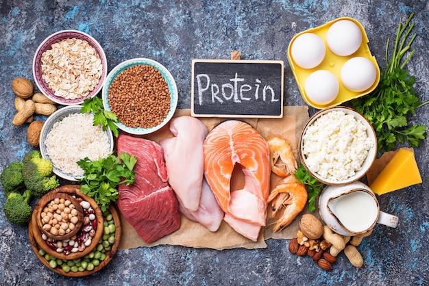 Healthy food high in protein