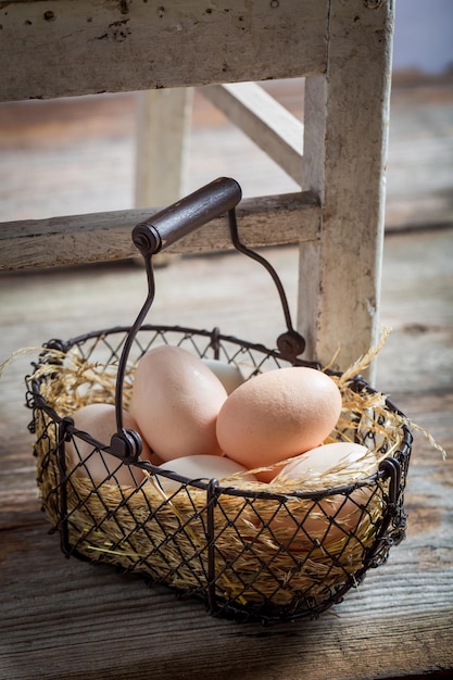 Healthy free range eggs from the farm