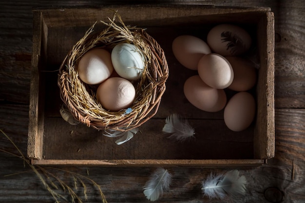 鶏舎からの健康的な放し飼いの卵
