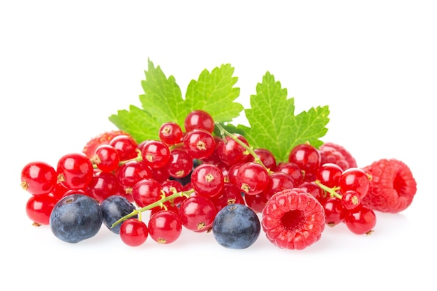 Healthy fresh food berries group. Fresh red currant