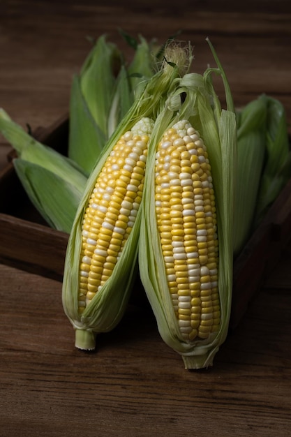 healthy and fresh tasty vegetables corn