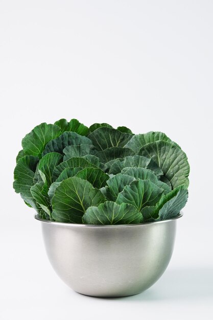 Healthy and fresh tasty vegetables Kale